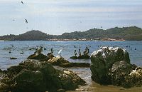 Isla Ixtapa's Playa Cuachalalata