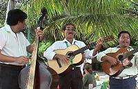 a trio of wandering musicians