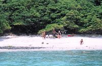 A day in paradise at Playa Manzanillo