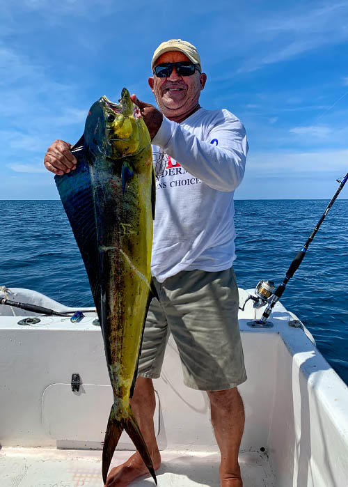 Dorado