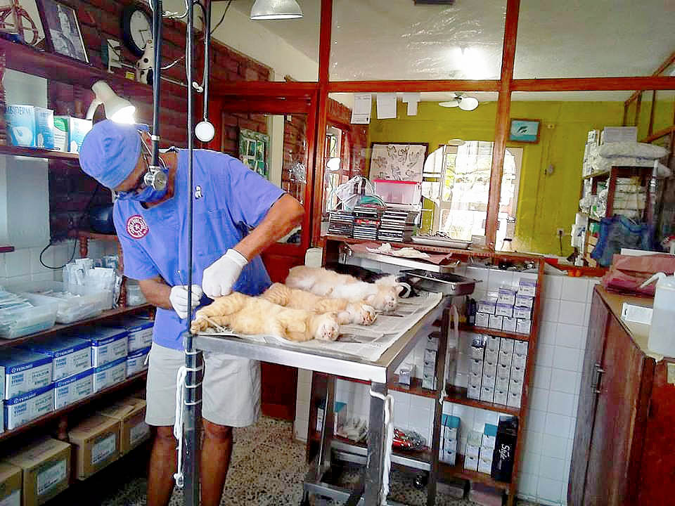 Programa SPAZ de esterilizaci&oacute;n
