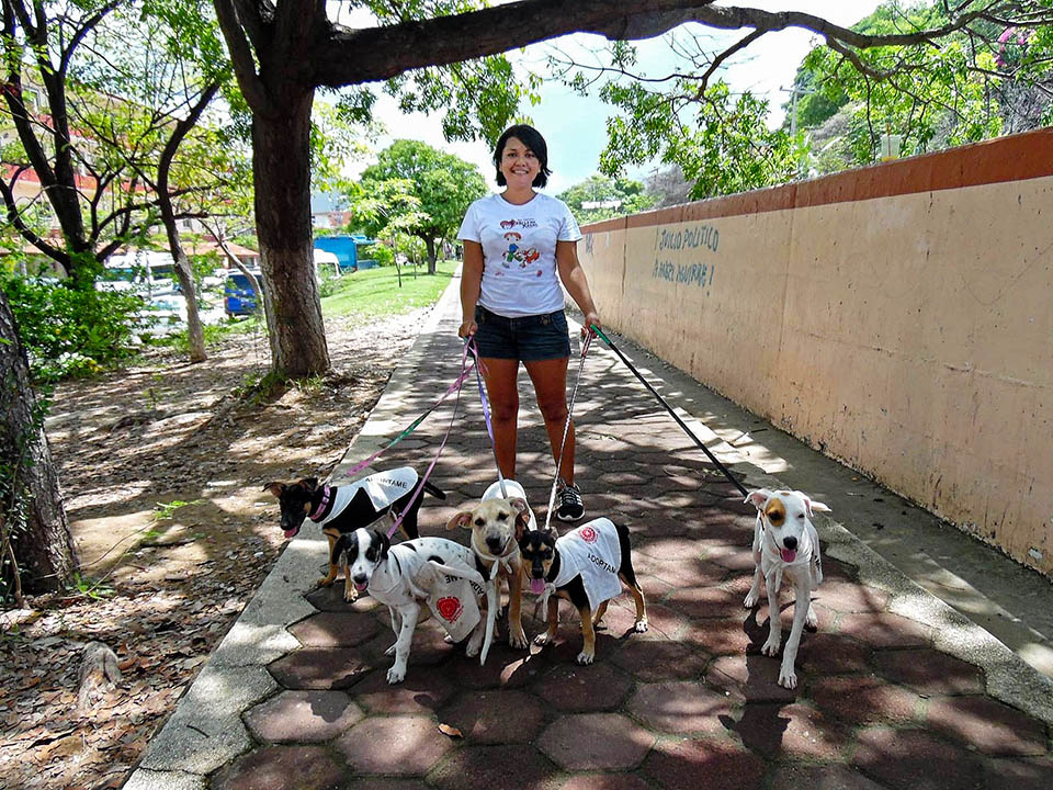 Voluntario SPAZ caminando perros