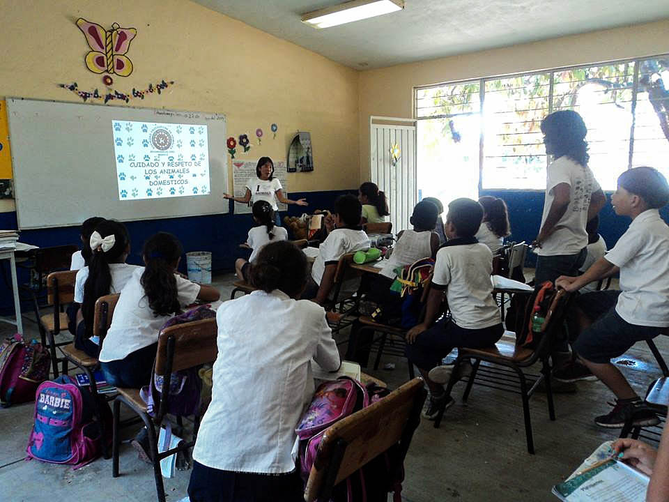 SPAZ en la escuela