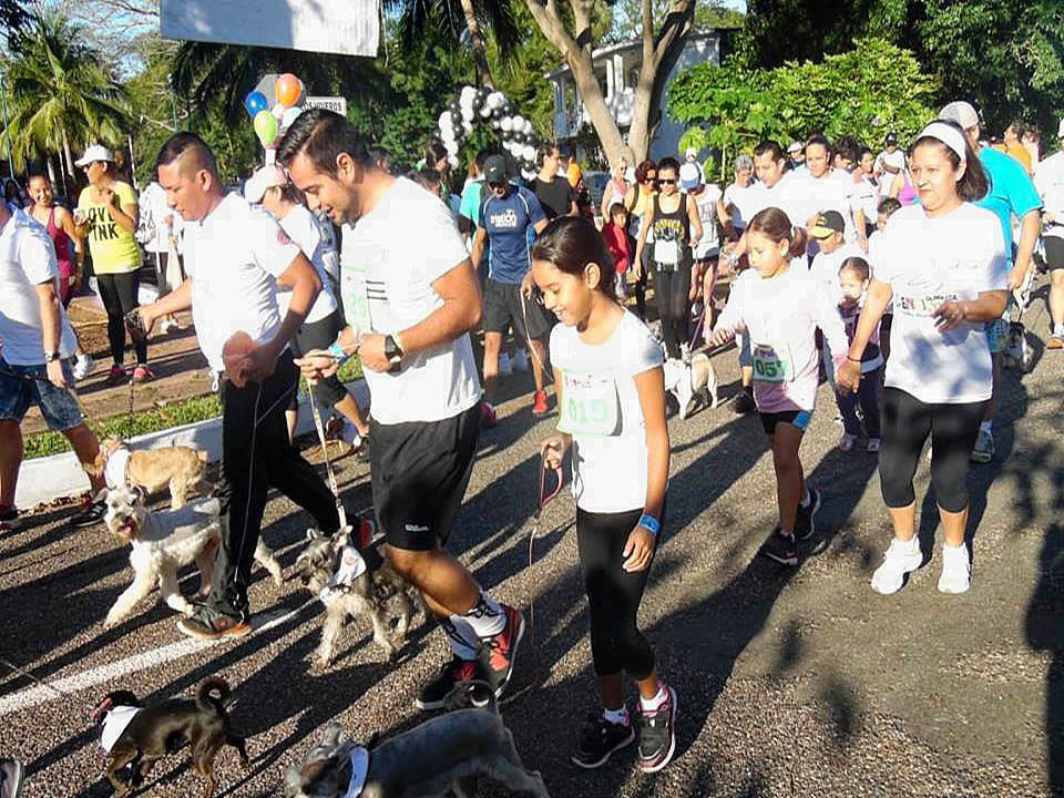 Carrera Anual Helene Krebs
